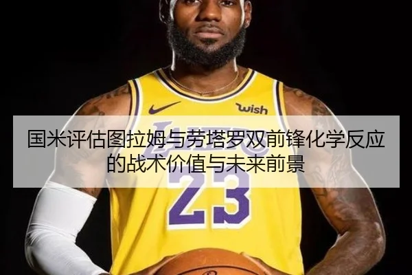 国米评估图拉姆与劳塔罗双前锋化学反应的战术价值与未来前景